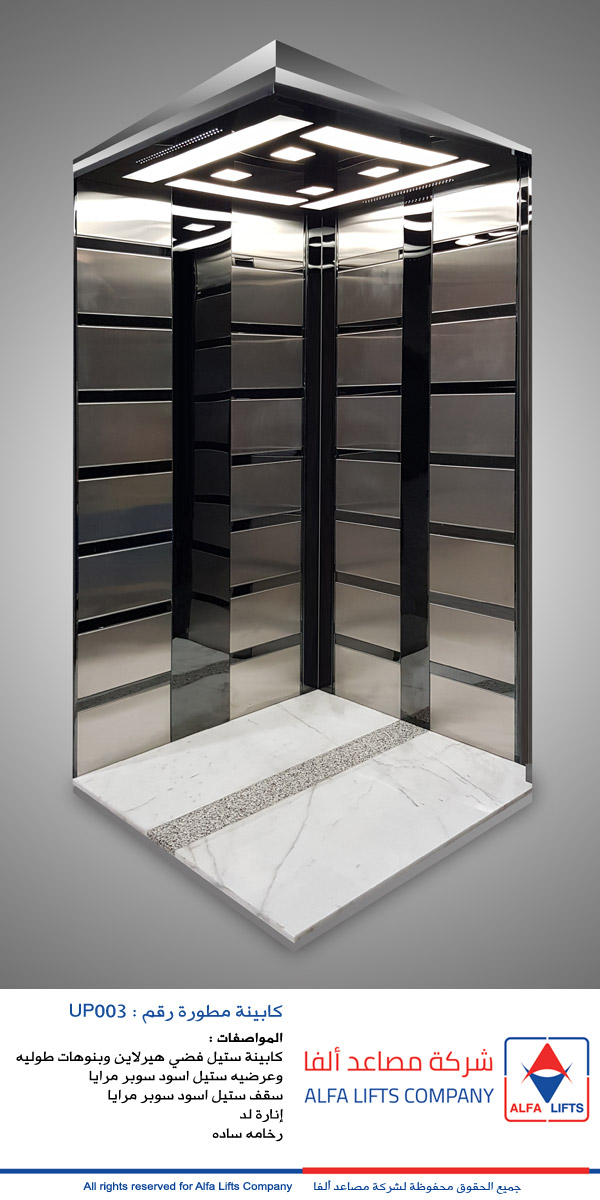 Herlin Silver Steel Cabin With Black Steel Vertical And Horizontal Paneling Super Mirrors