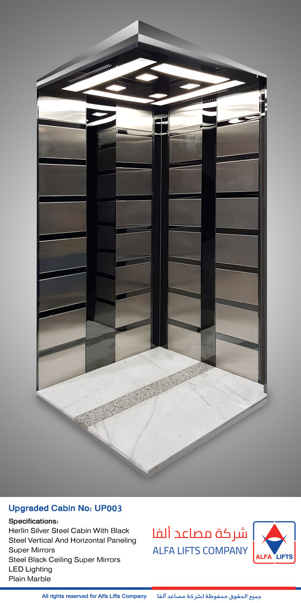 Herlin Silver Steel Cabin With Black Steel Vertical And Horizontal Paneling Super Mirrors